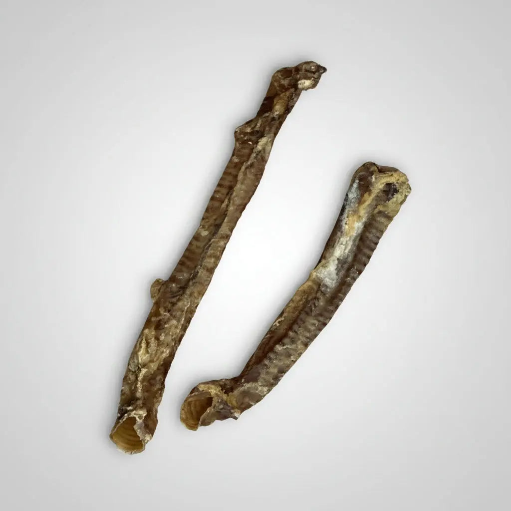 Lamb Trachea (Single) Origin Pets Longton