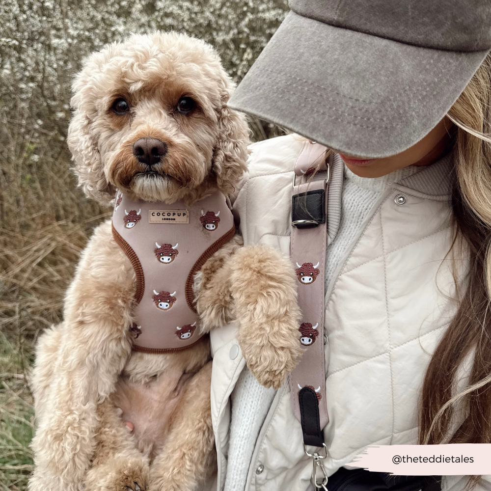 Cocopup London - Bag Strap - Harold the Highland Cow
