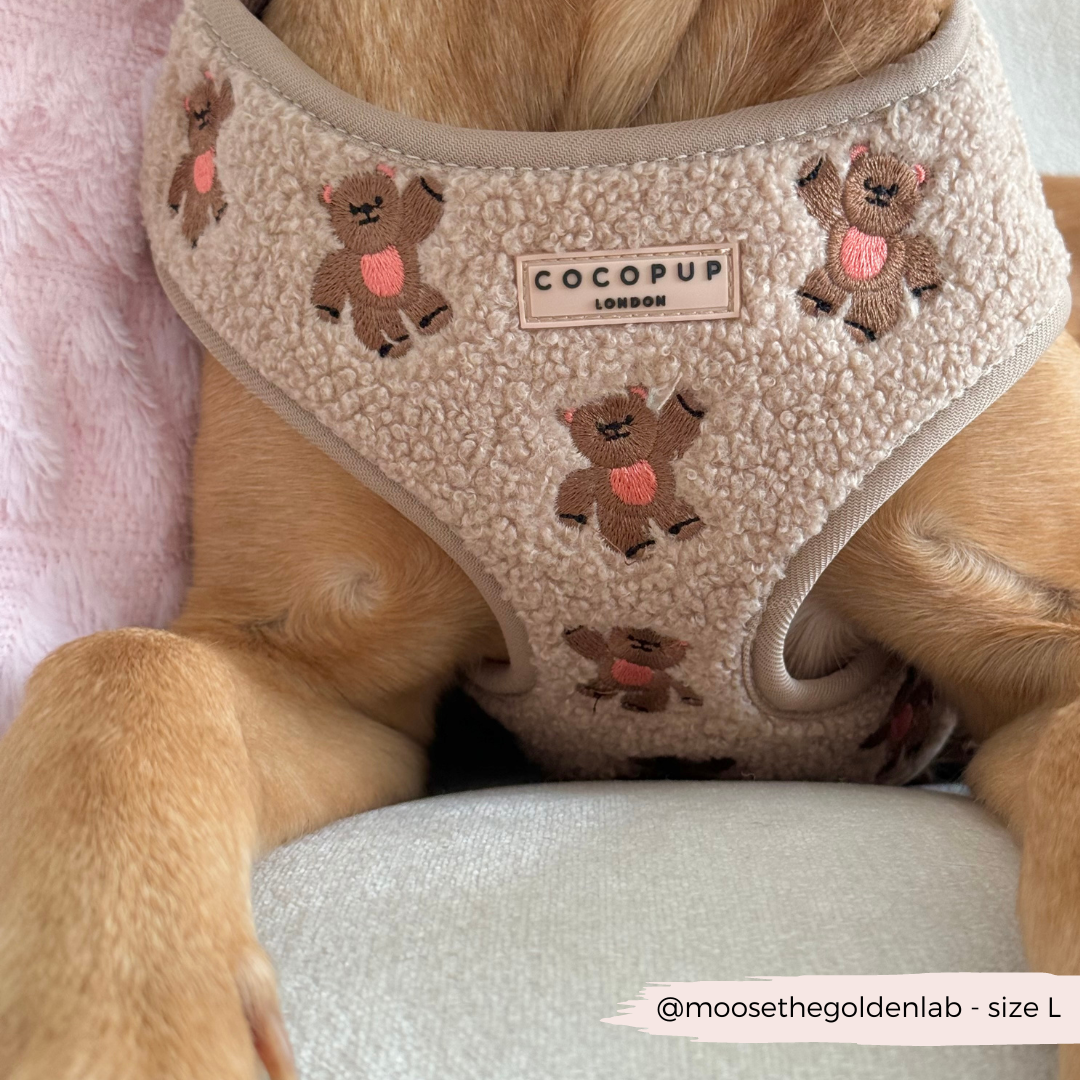 CocoPup London Theo Embroidered Teddy Adjustable Neck Harness