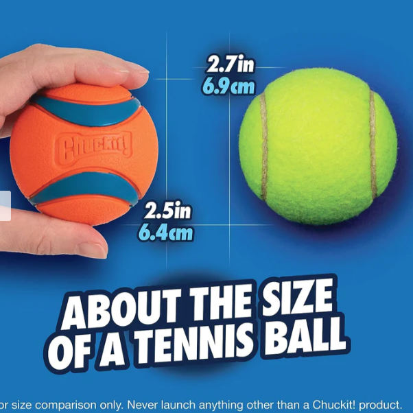 Chuckit! Ultra Ball 2 Pack Medium 6.5cm