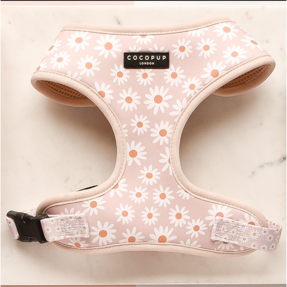 CocoPup London Daisy Chain Adjustable Neck Harness