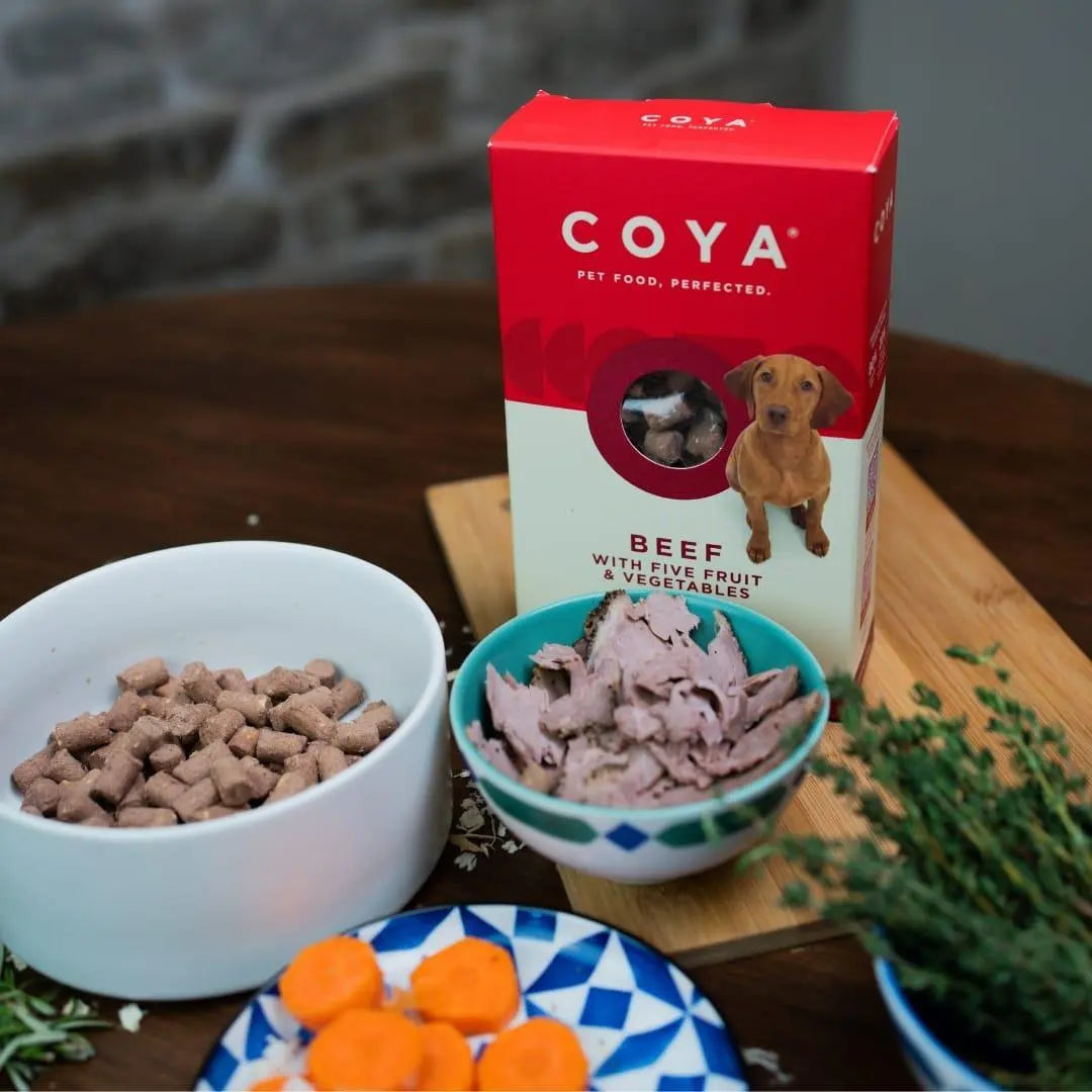 Coya Adult Dog Food - Beef 150g Pedigree