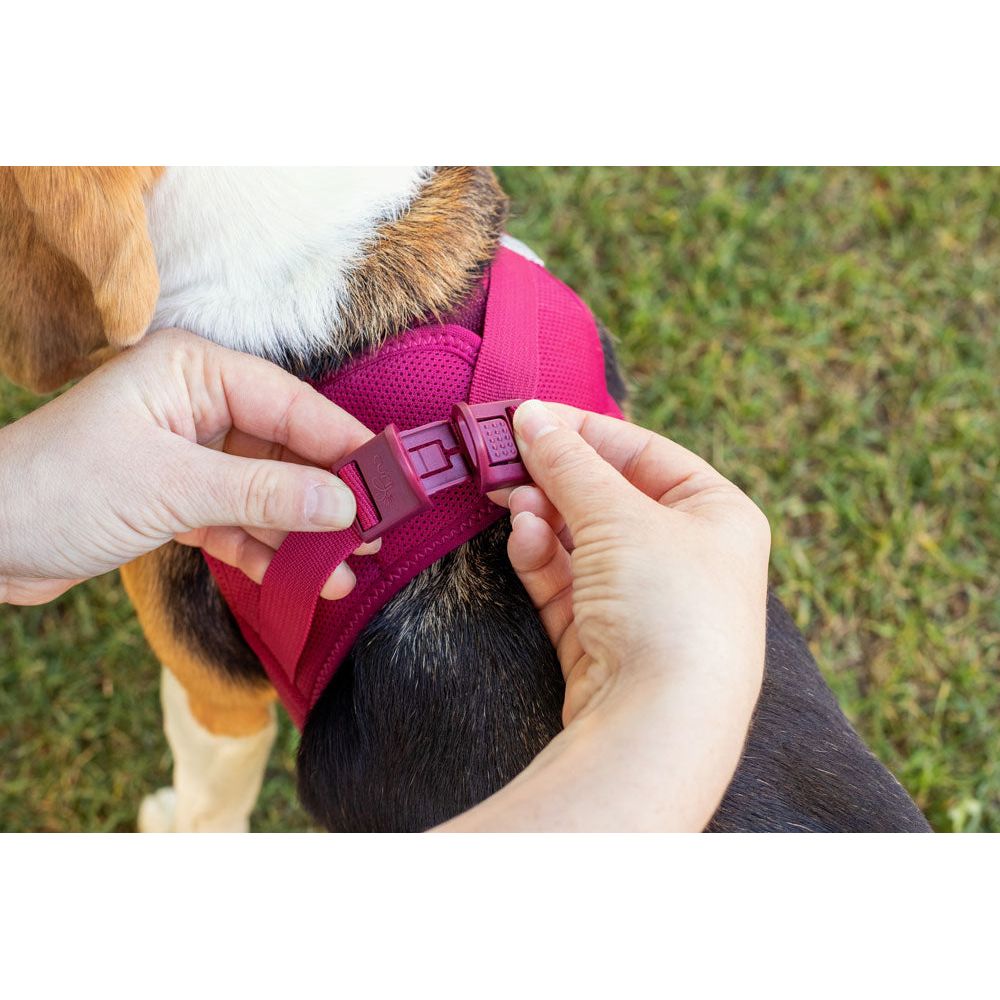 Curli Vest Dog Harness Clasp Air-Mesh Ruby Large