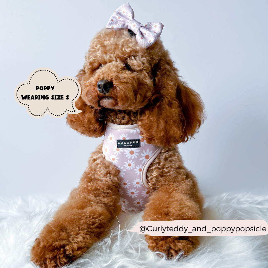 Cocopup London - Daisy Chain Bow Tie