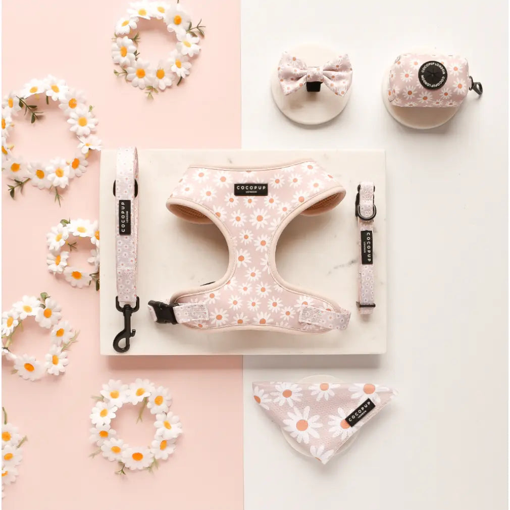 CocoPup London Daisy Chain Lead Cocopup London