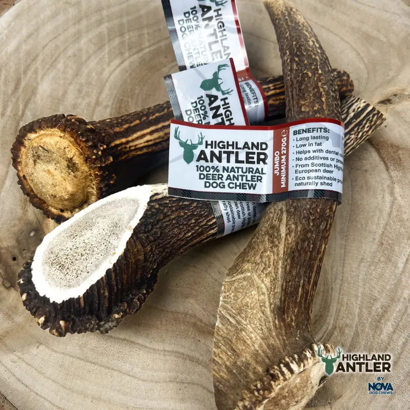 Nova Highland Antler Chew for Dogs – Natural Durable Chewing Treats in Various Sizes Nova