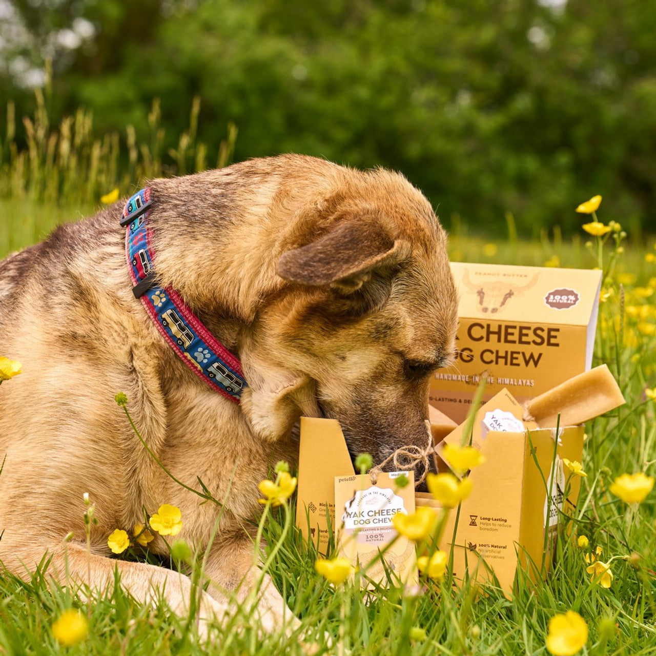 Petello Yak Cheese with Peanut Butter Dog Chew 155g