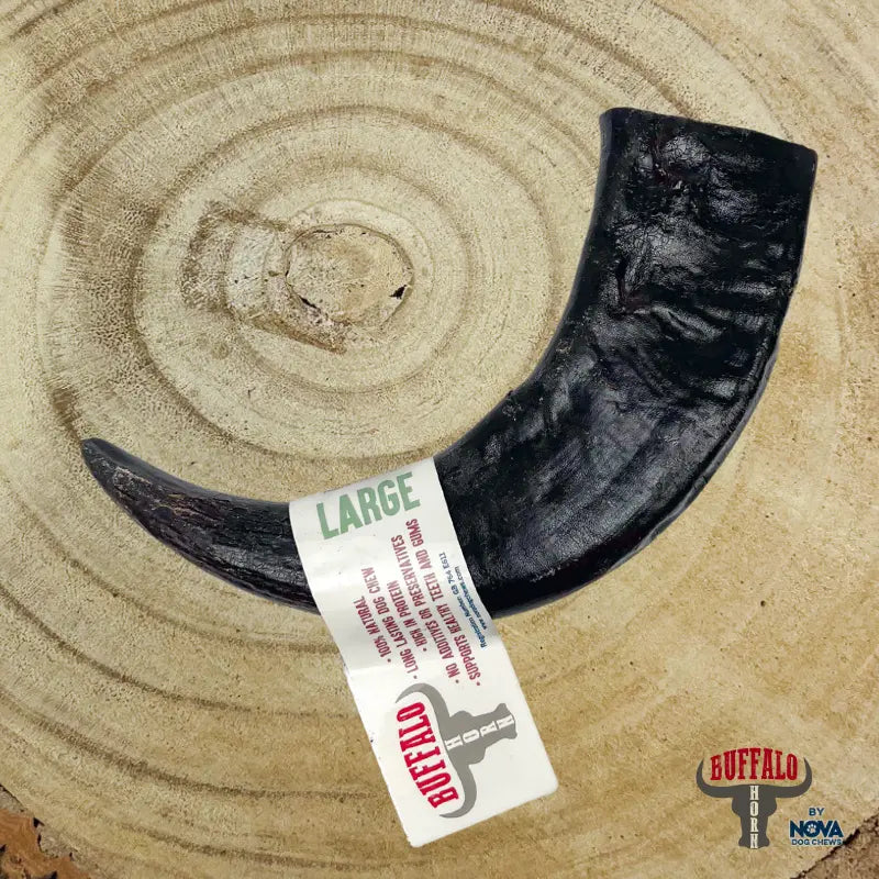 Nova Buffalo Horn Dog Chew Origin Pets Longton