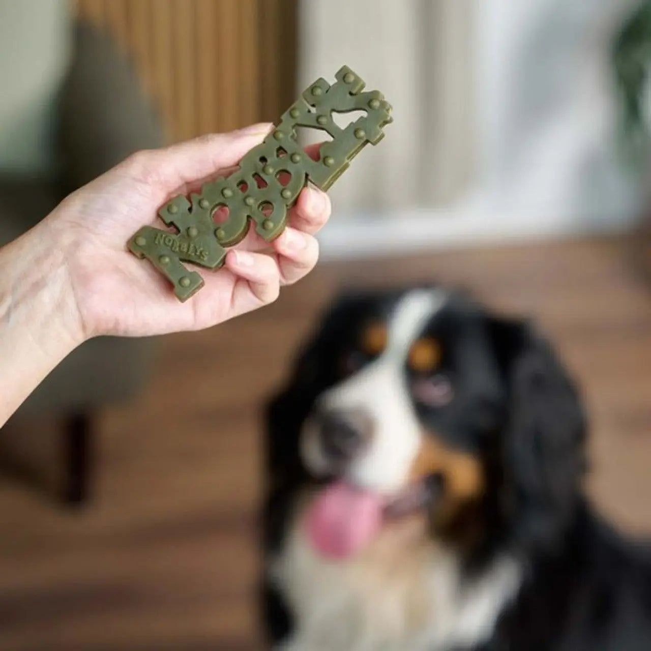 Nobblys Dental Dog Chew Mint - 30g Petello