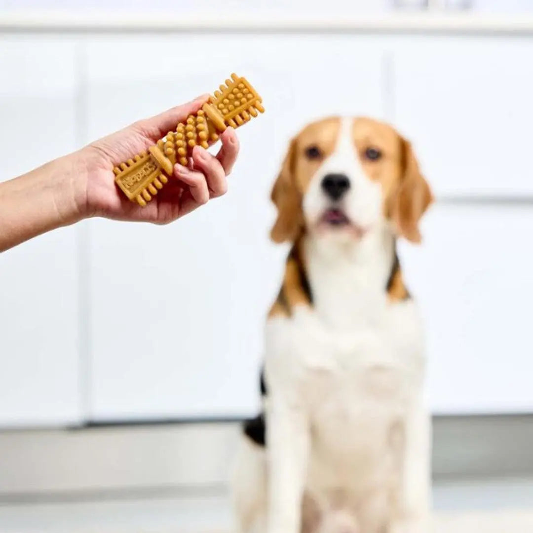 Nobblys Tough Brush 80g Peanut Butter Pedigree