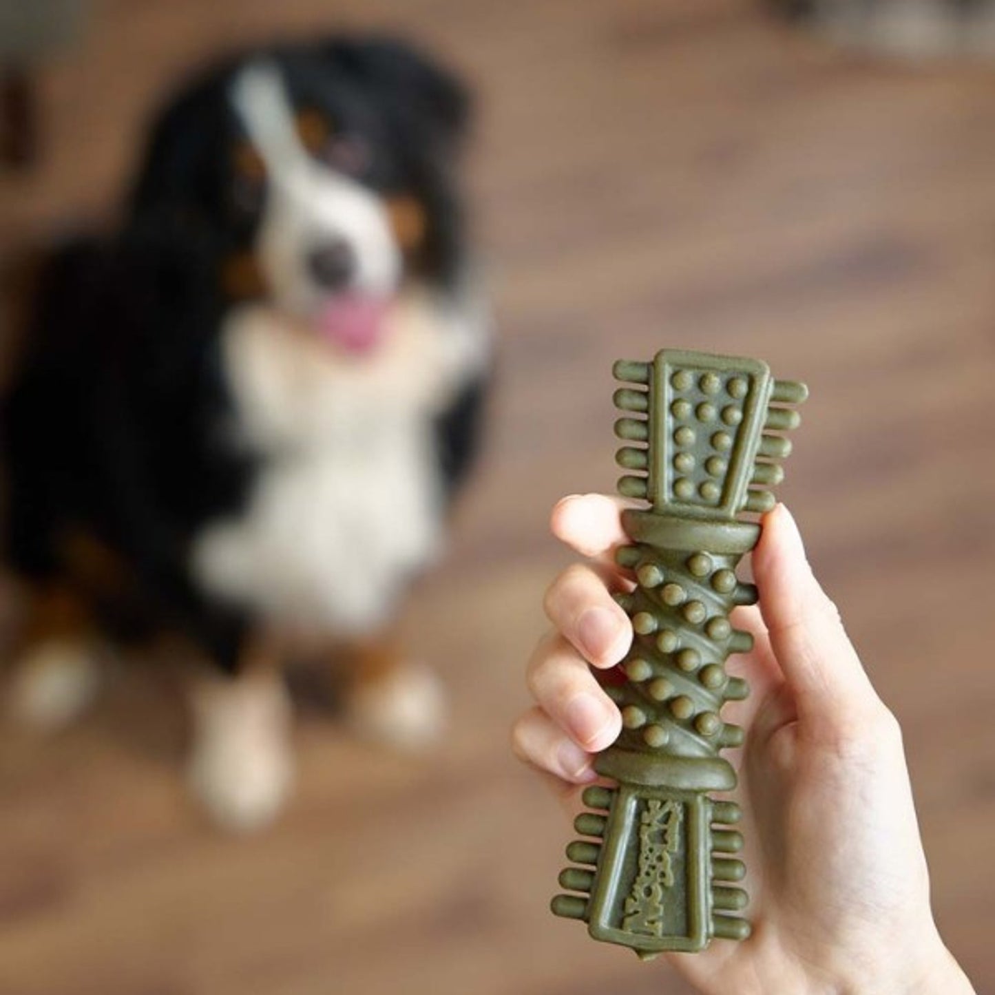 Nobblys Tough Brush Dental Dog Chew Mint -50g