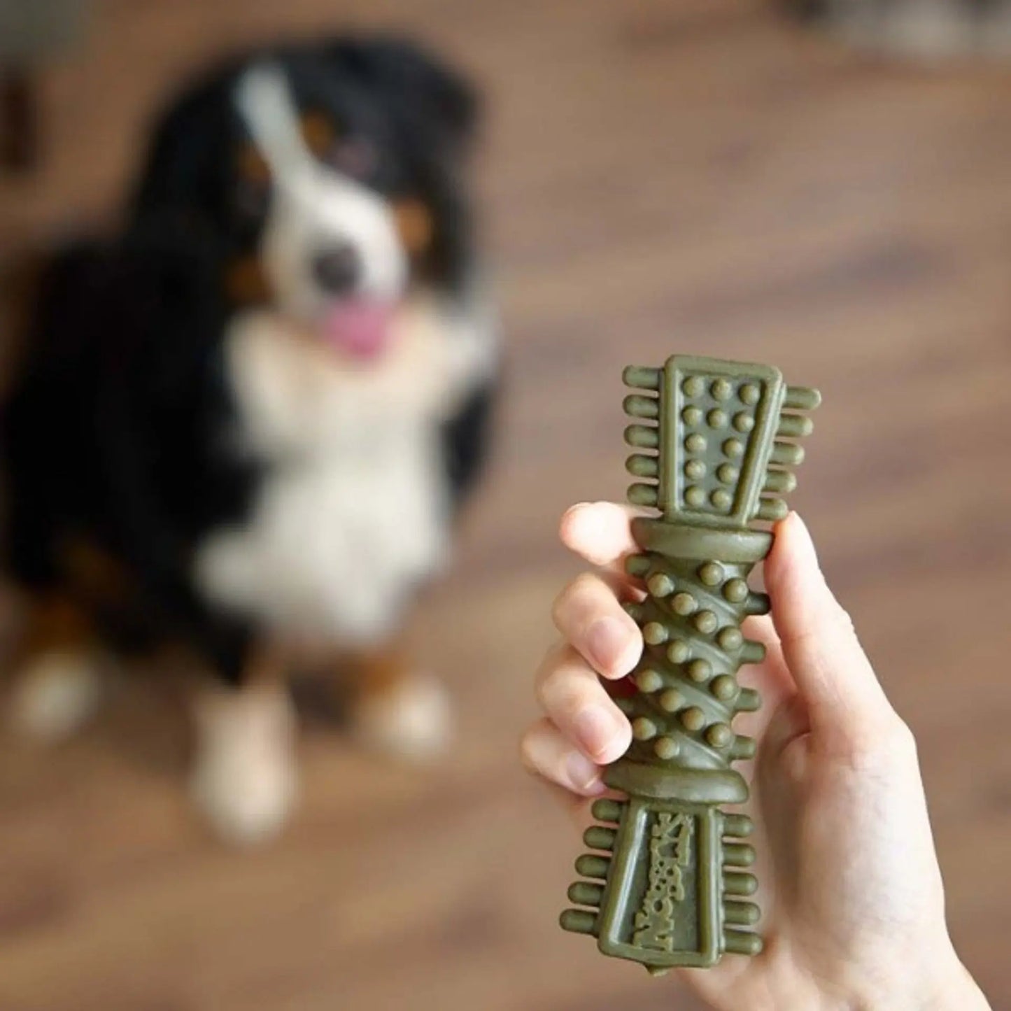 Nobblys Tough Brush Dental Dog Chew Mint -50g Petello