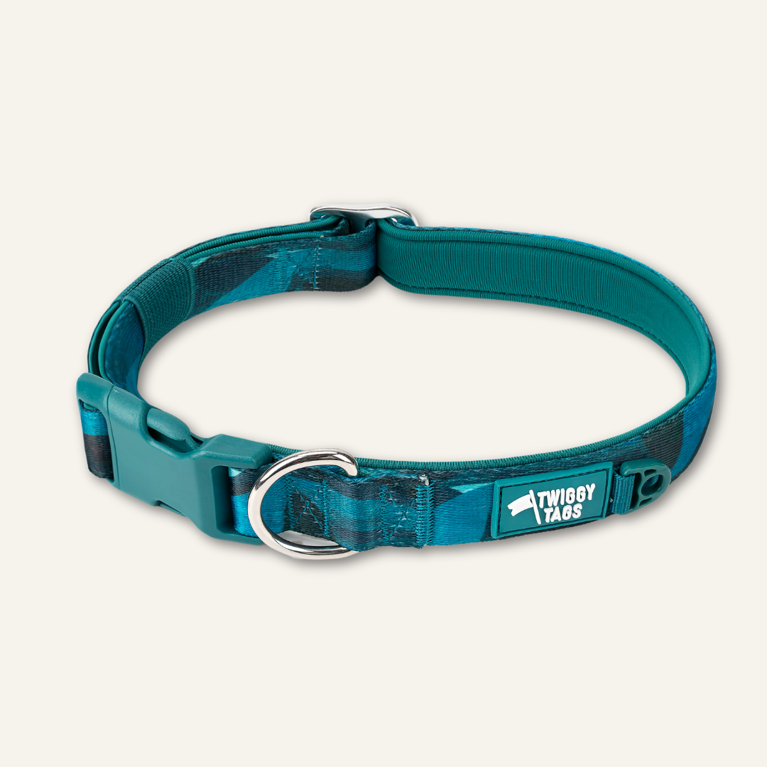 Twiggy Tags Adventure Collar 2.0 - Lagoon - Small