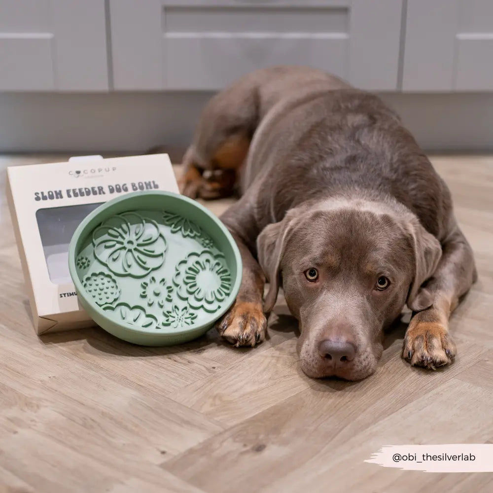 Cocopup London - Silicone Slow Feed Dog Bowl - Sage Flowers Cocopup London