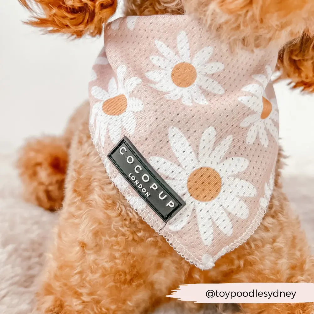 CocoPup London Daisy Chain Bandana Cocopup London