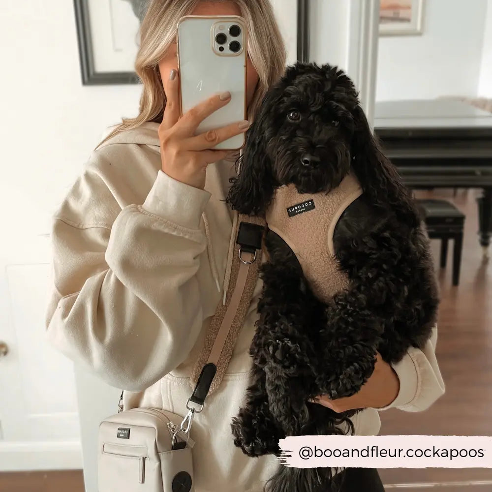 CocoPup London Teddy Bag Strap - Rupert Cocopup London