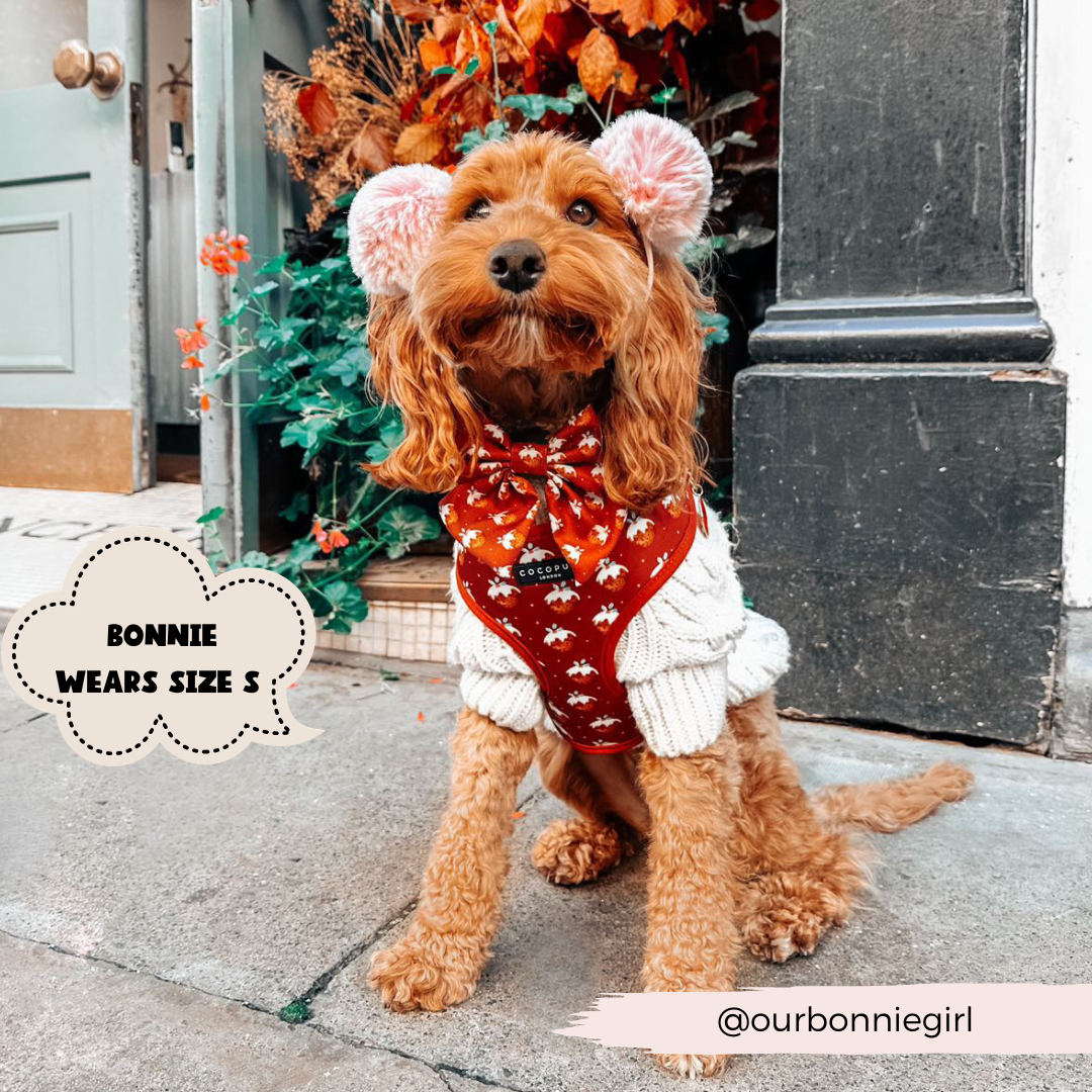 Cocopup London - Woofmas Pudding Sailor Bow Tie