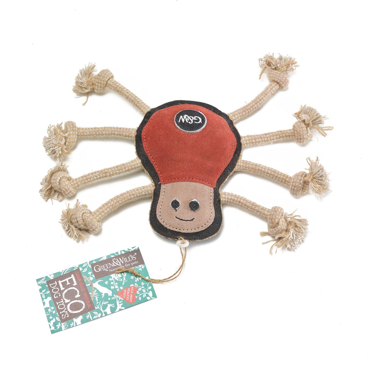 Spike the Spider