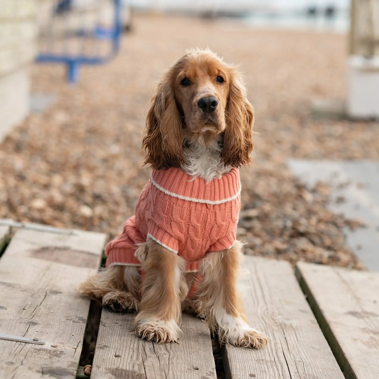 Penrose Dog Sweater Peach 20cm Origin Pets Longton