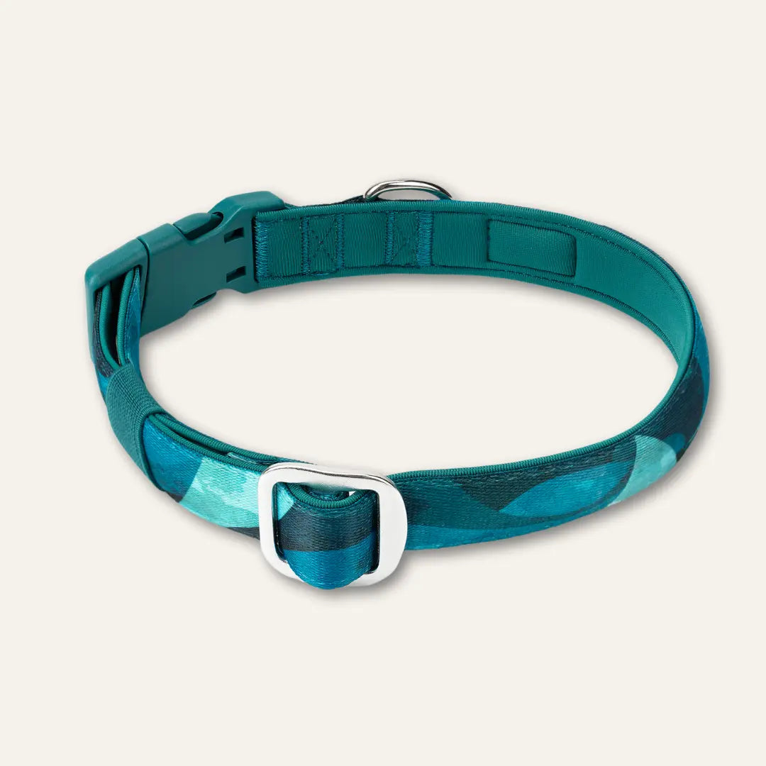 Twiggy Tags Adventure Collar 2.0 - Lagoon - Small Twiggy Tags