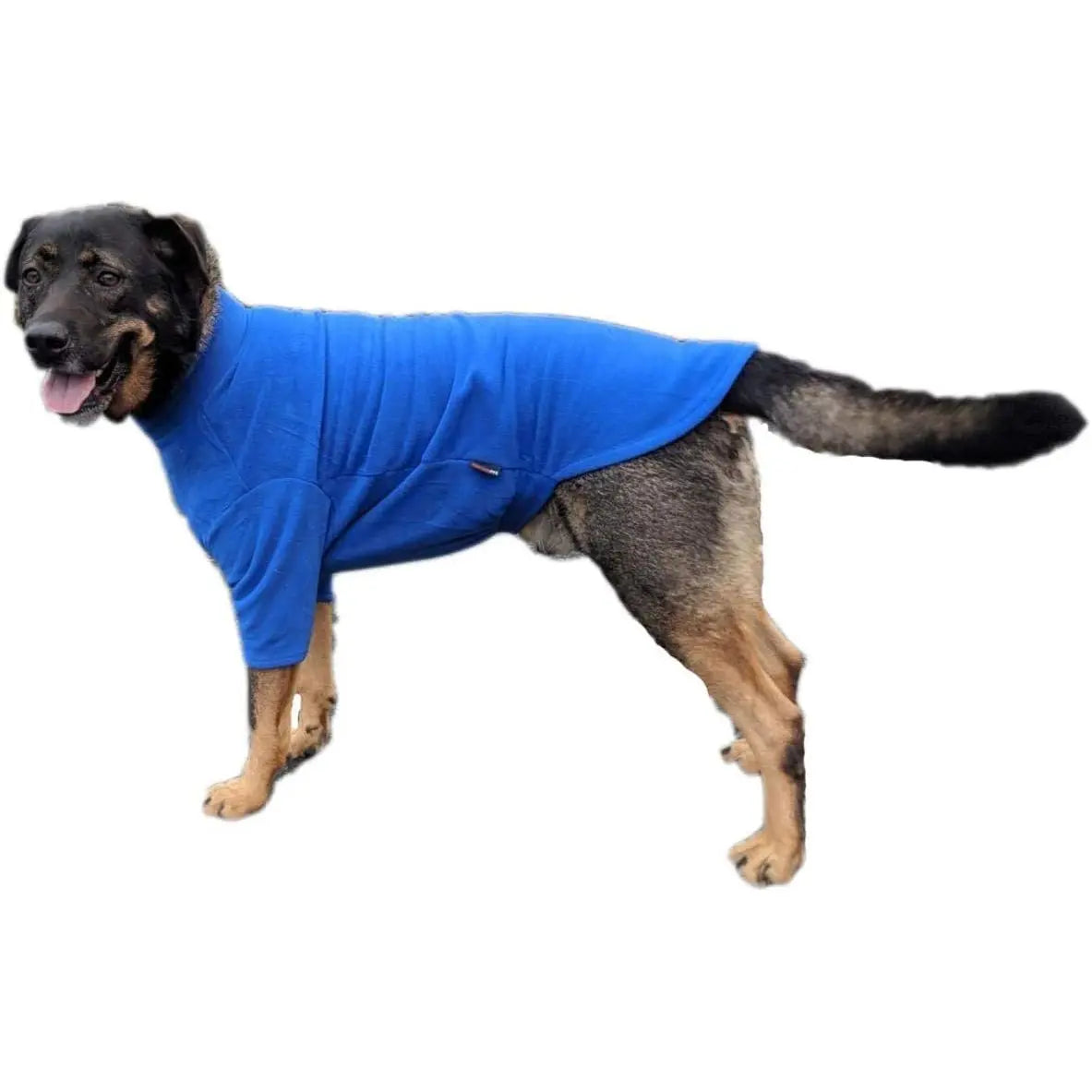 HOTTERdog Dog Jumper - Forest Green - Medium Equafleece