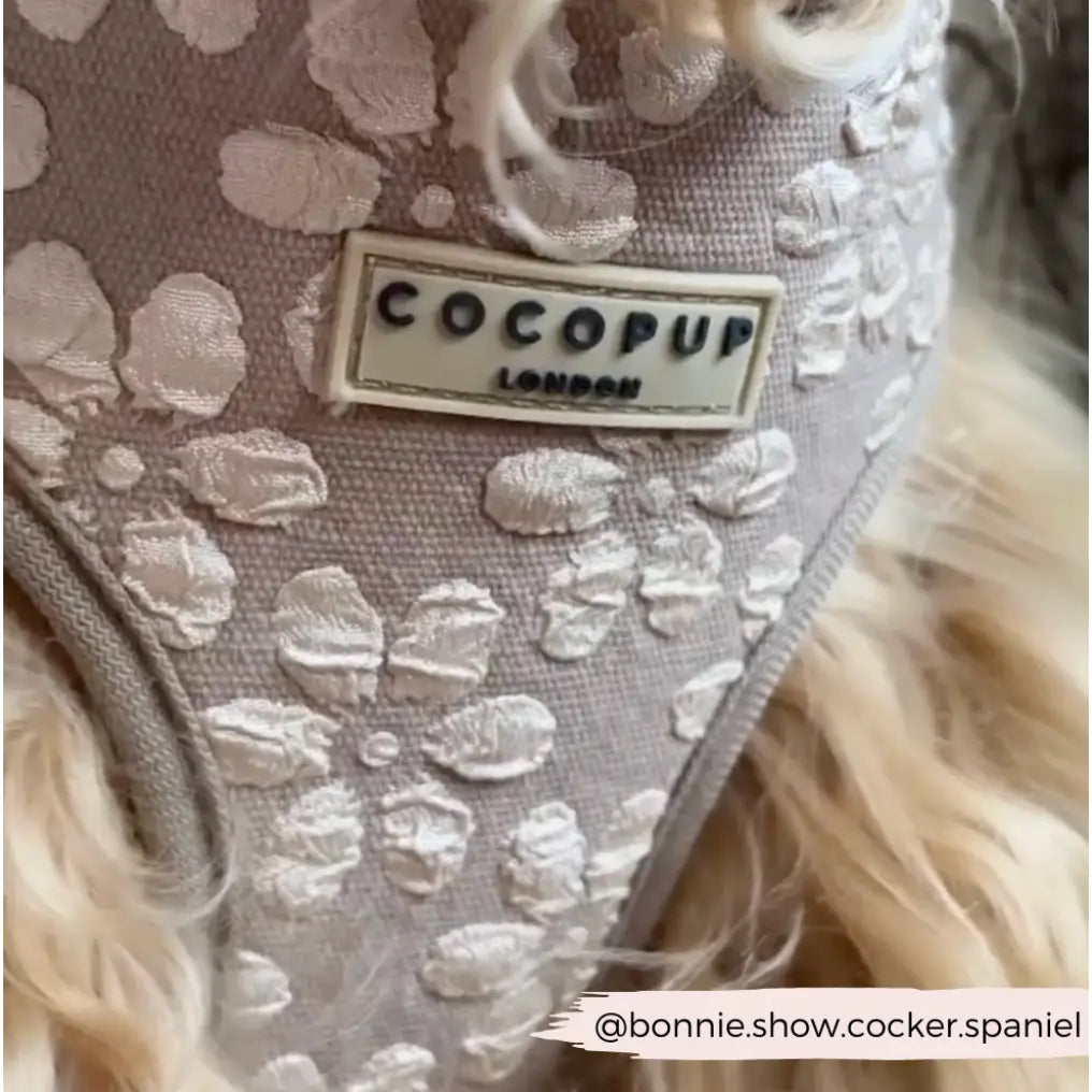 CocoPup London LUXE Adjustable Neck Harness - Mocha Flower Cocopup London