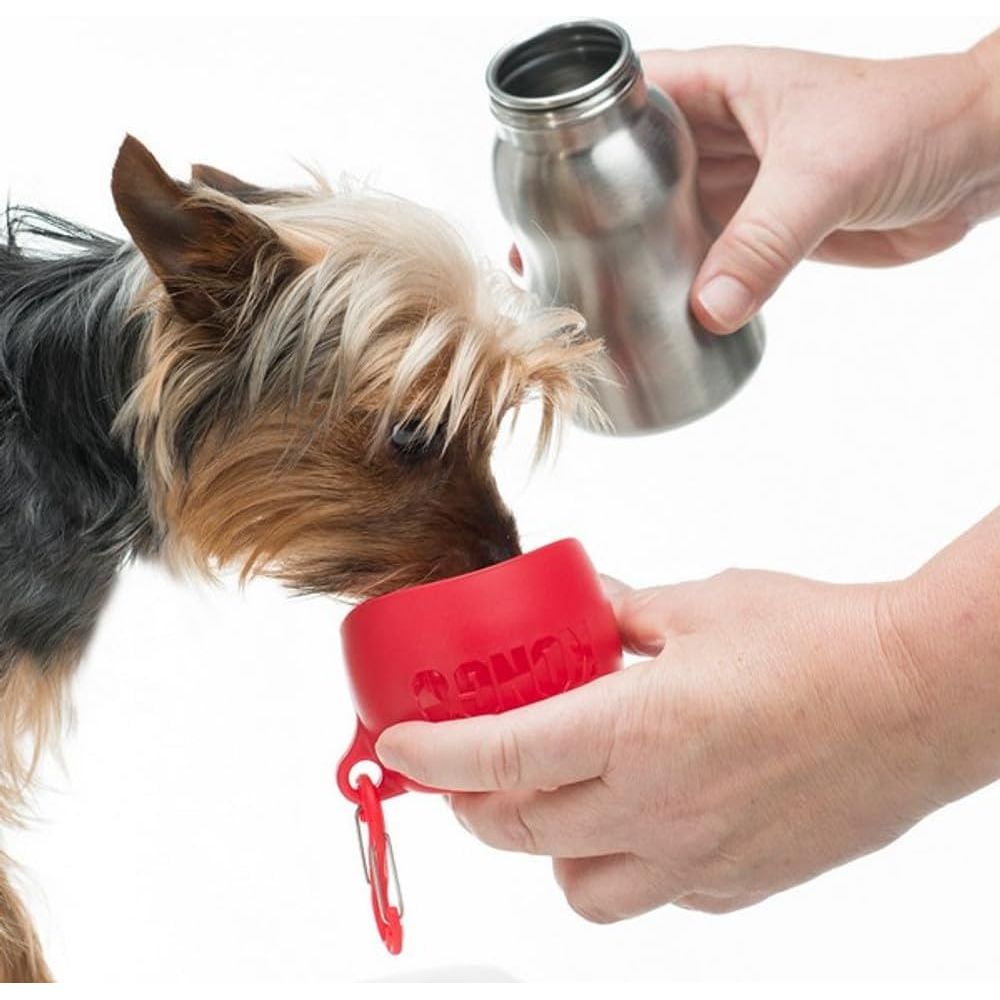 KONG H2O Stainless Steel Dog Water Bottle & Pet Travel Bowl, 9.5 oz - Red