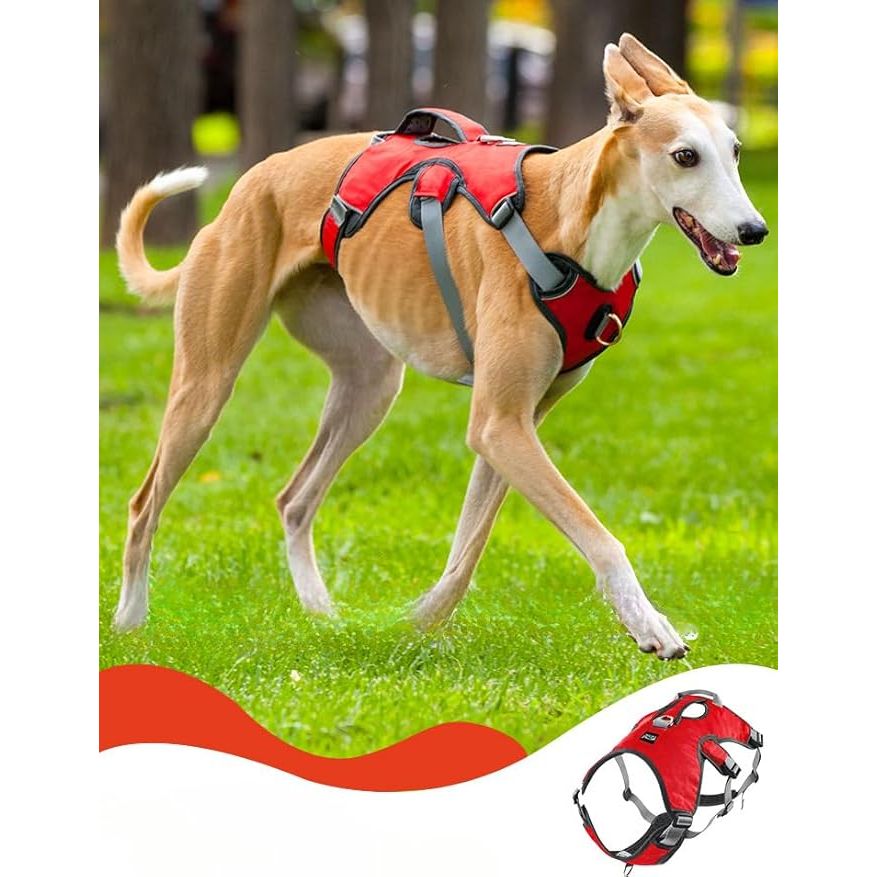 Drydogs Escape Proof Sighthound Harness For Dogs Red