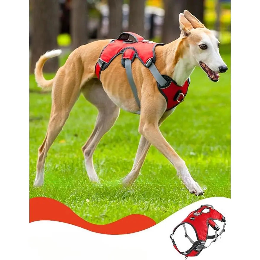 Drydogs Escape Proof Sighthound Harness For Dogs Red DryDogs