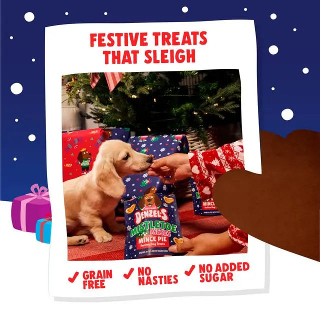 Denzel’s Mistletoe Kisses - Mince Pie Festive Dog Treats Denzel's