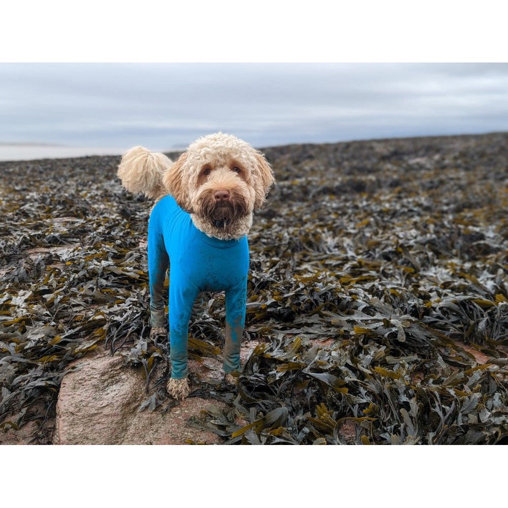Equafleece Summersuit