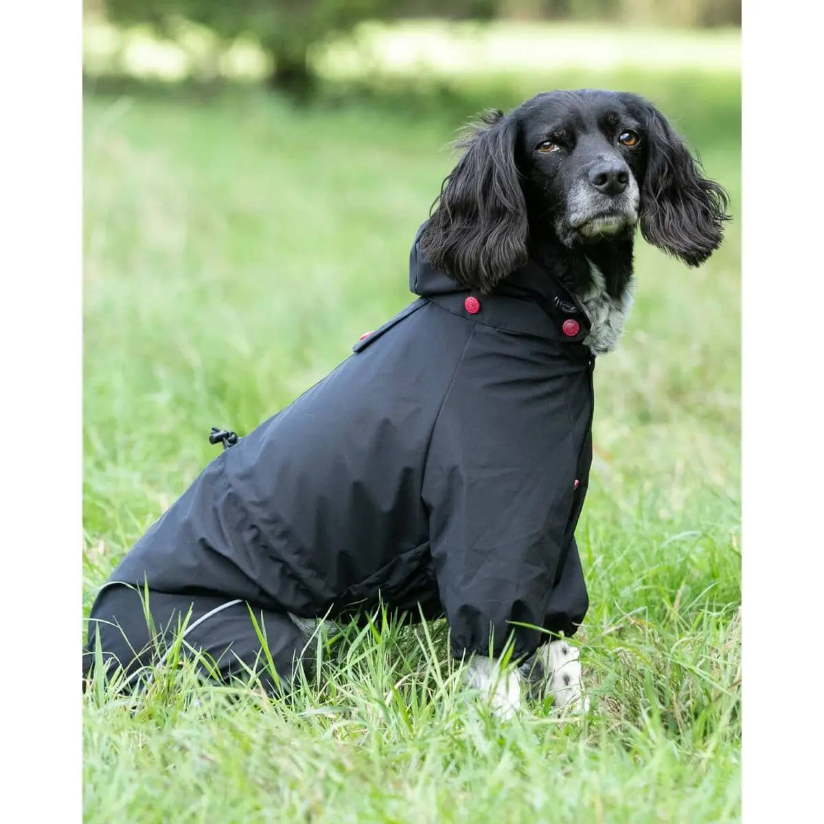 H&H Reflective Hooded Overall Black M40 Origin Pets Longton