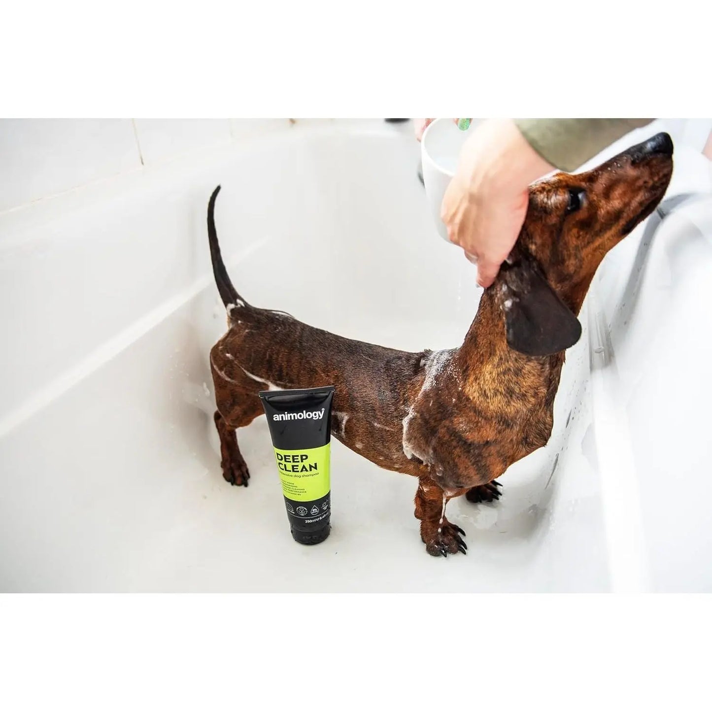 Animology Deep Clean Intensive Dog Shampoo Animology