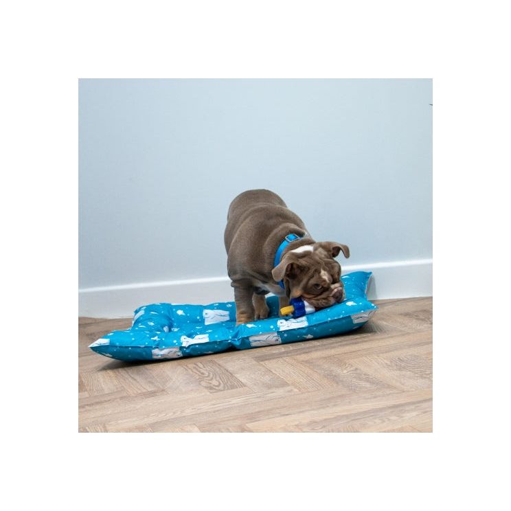 Ancol Ice Paws Cooling Dog Bed for Comfortable Pet Relaxation and Temperature Control