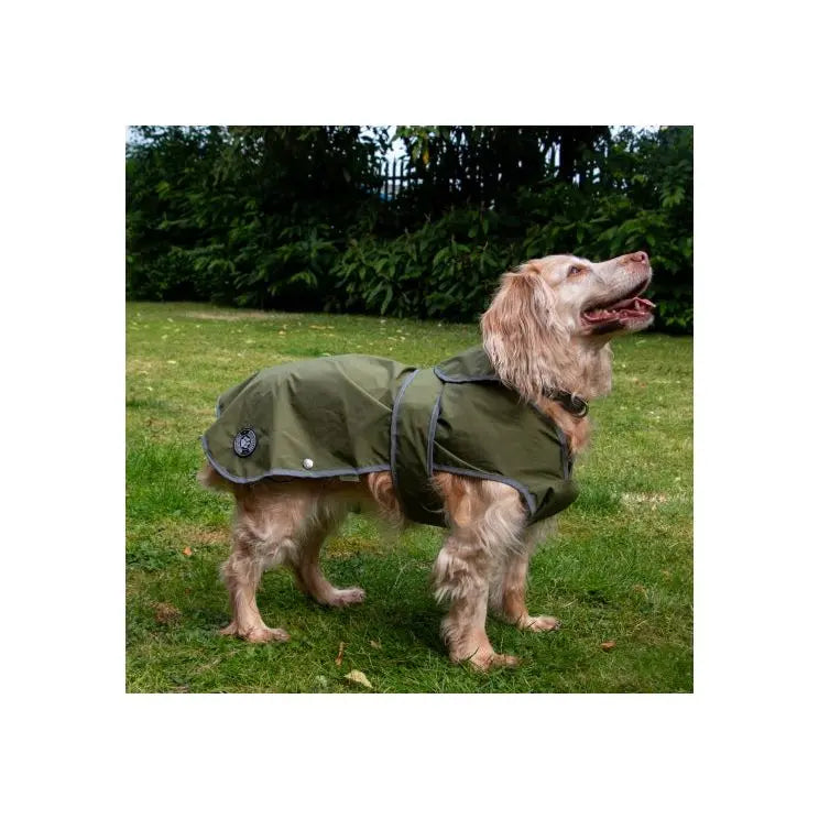 Stormguard Soft Shell Jacket Ancol