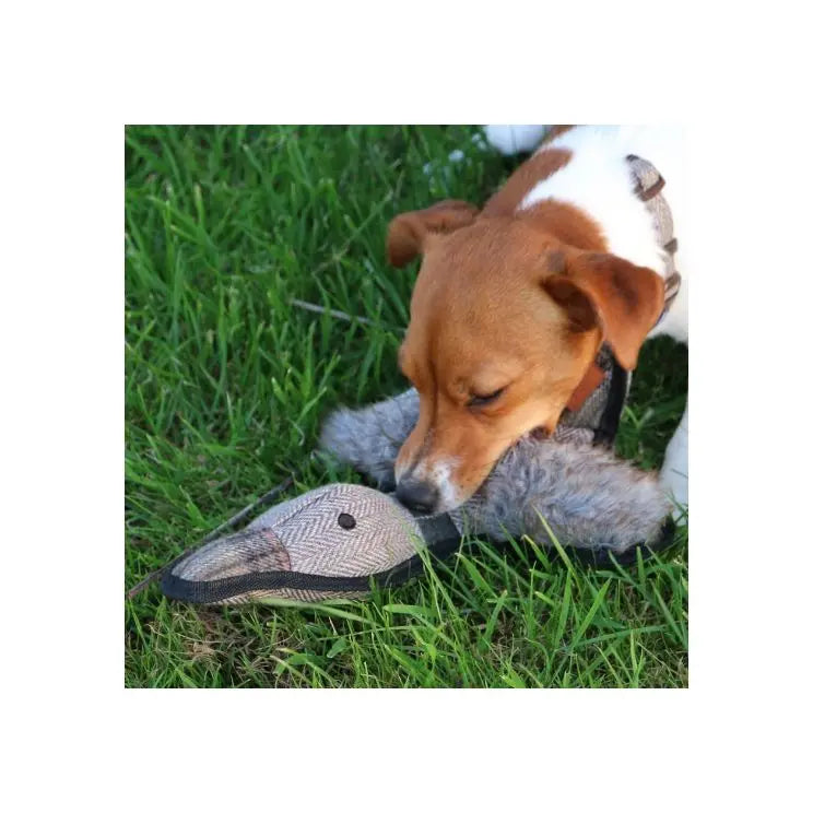 Heritage Tweed Duck Dog Toy Ancol