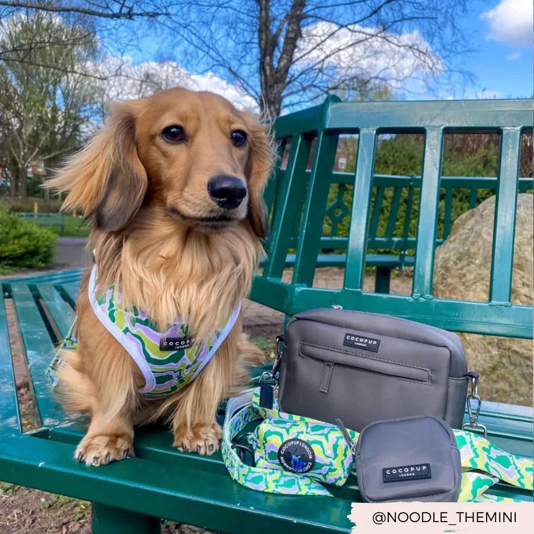 Cocopup London - Dog Walking Bag - Mocha Cocopup London
