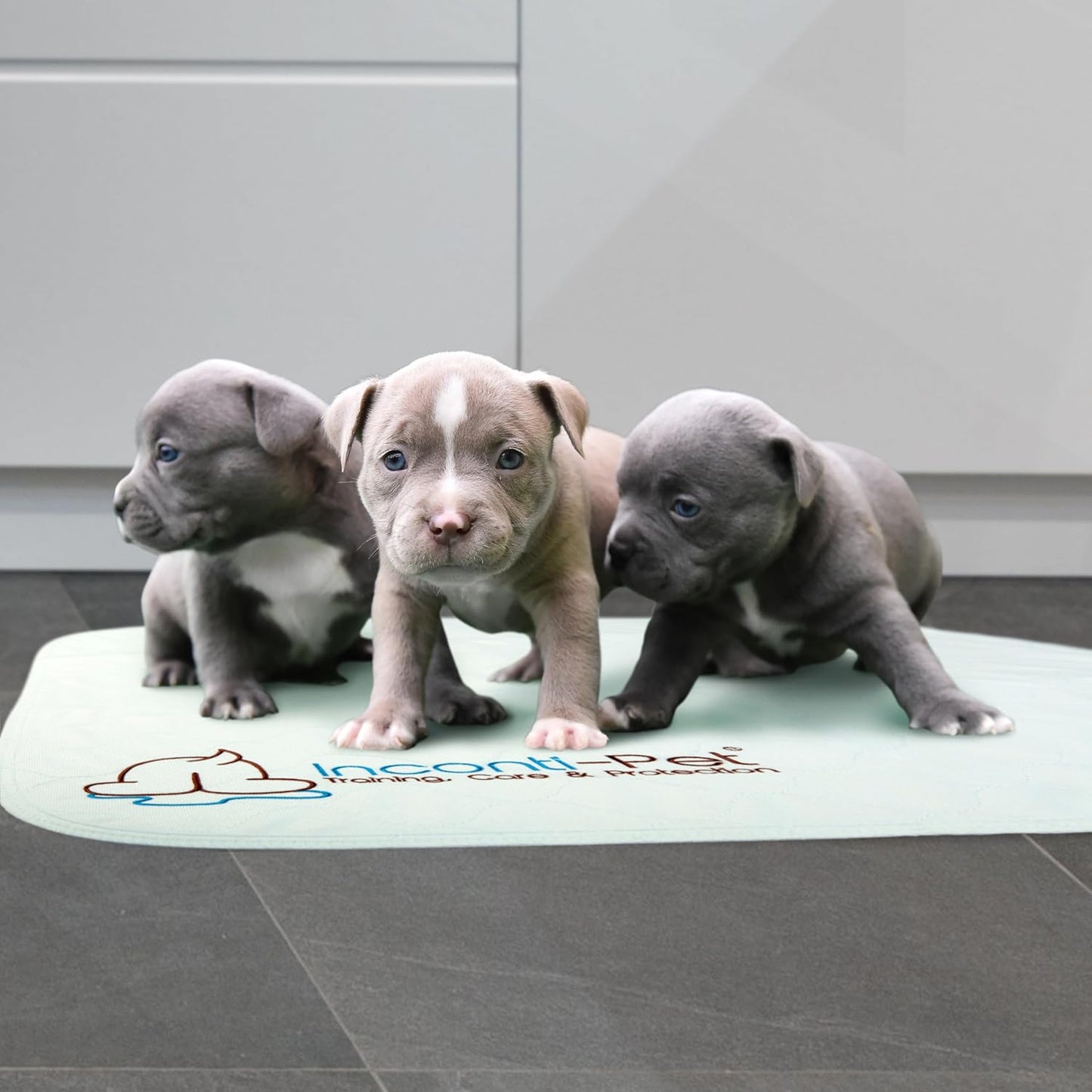 Inconti-Pet Washable Training Pad 120x120cm