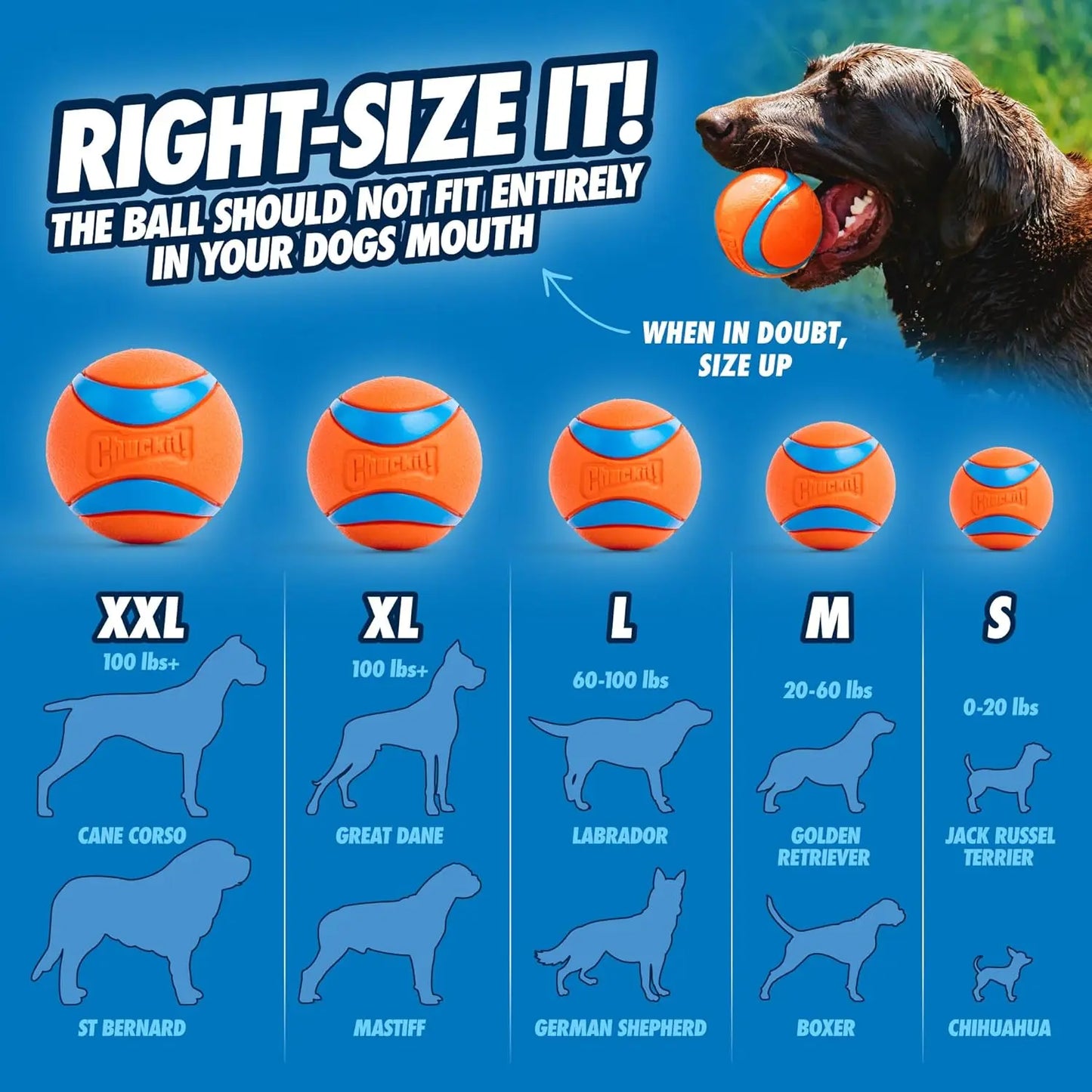 Chuckit! Ultra Ball 1 Pack Large 7.3cm Pedigree