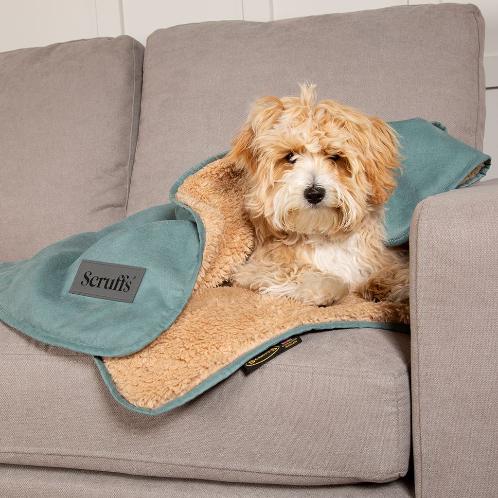 Scruffs Snuggle Blanket - Sage Green