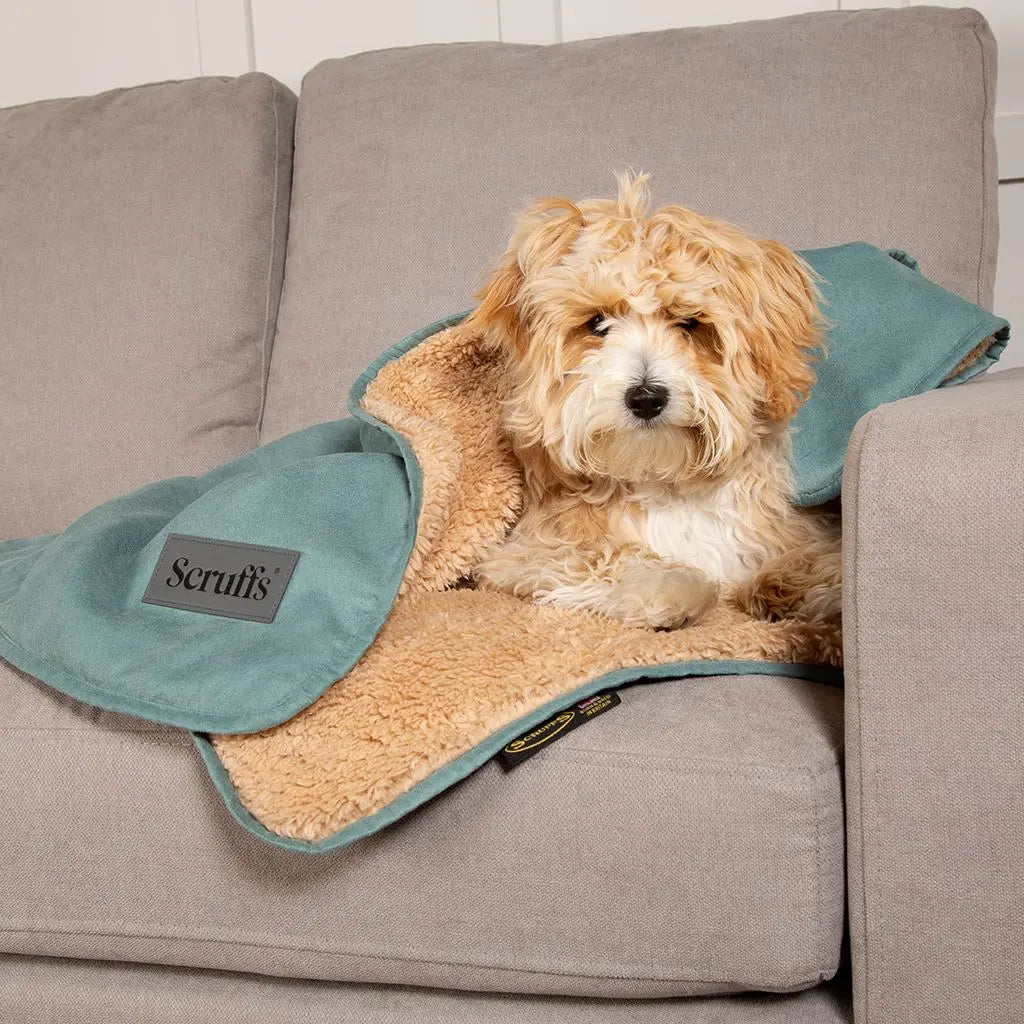 Scruffs Snuggle Blanket - Sage Green Scruffs