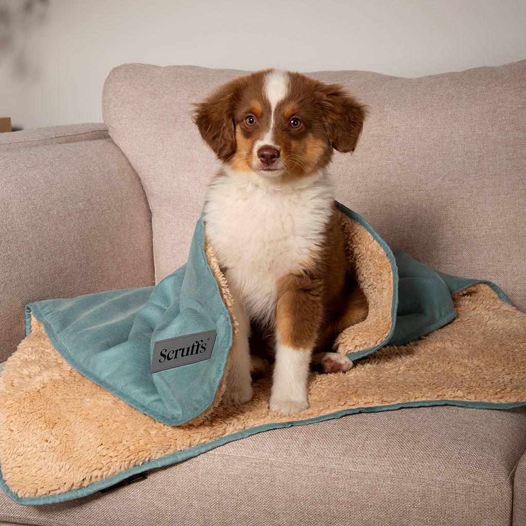Scruffs Snuggle Blanket - Sage Green