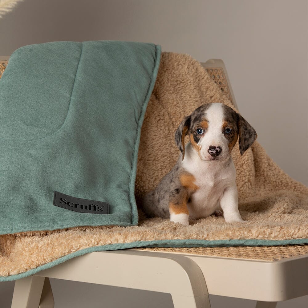 Scruffs Snuggle Blanket - Sage Green
