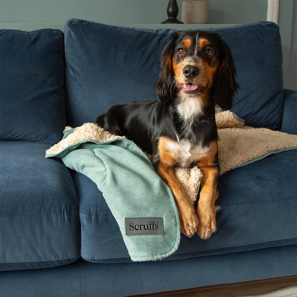 Scruffs Snuggle Blanket - Sage Green