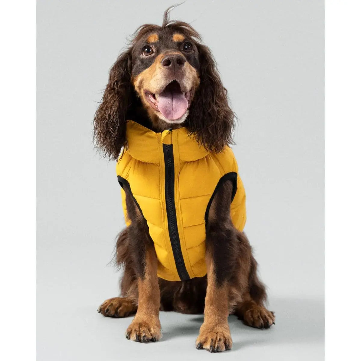 H&H Reversible Water-Resistant Puffer Coat Hugo & Hudson