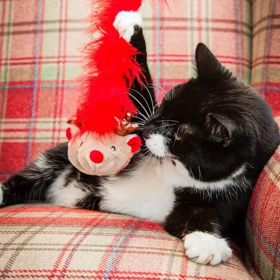 Rosewood Roxy Reindeer Festive Cat Teaser Wand Rosewood Cat Toy