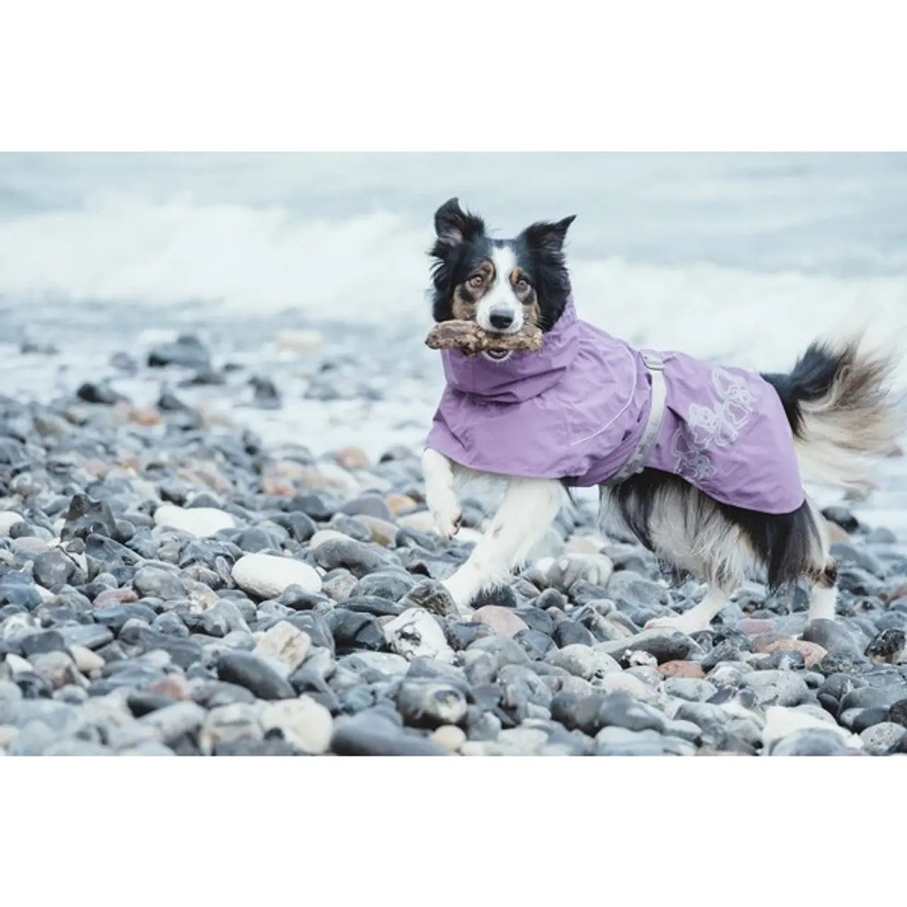 Hurtta Drizzle Raincoat Currant 25cm Pedigree