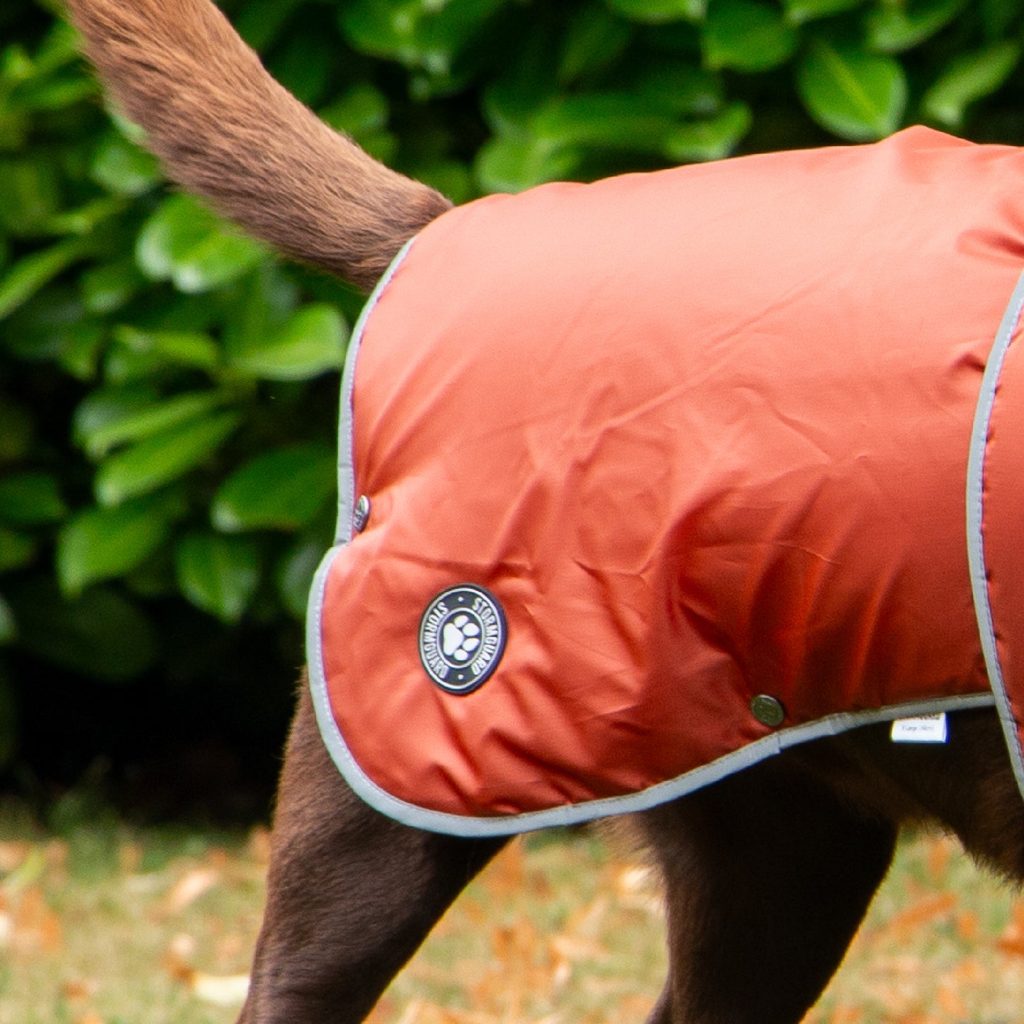 Stormguard Terracotta Dog Coat M