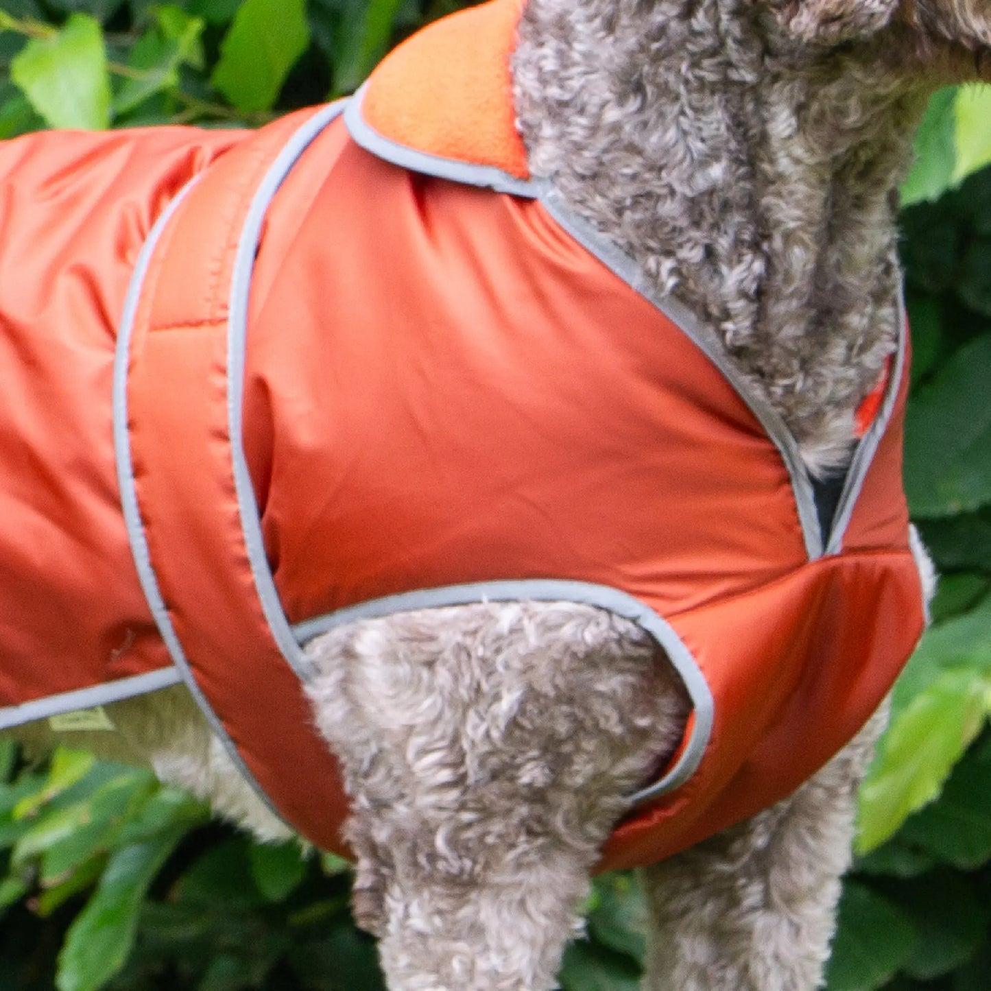 Stormguard Terracotta Dog Coat M Ancol