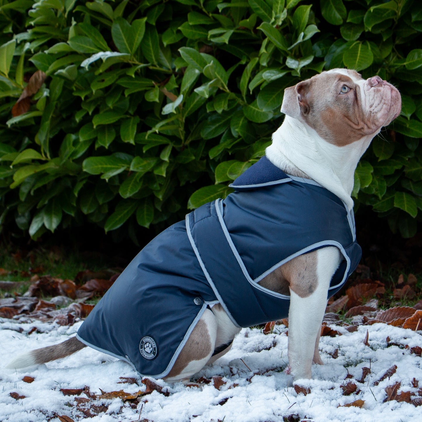 Stormguard Dog Coat